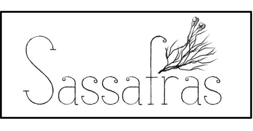 Sassafras image