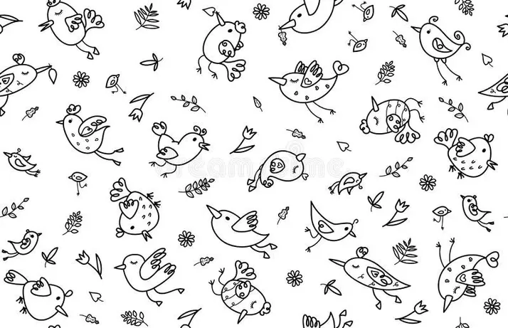 Bird's image