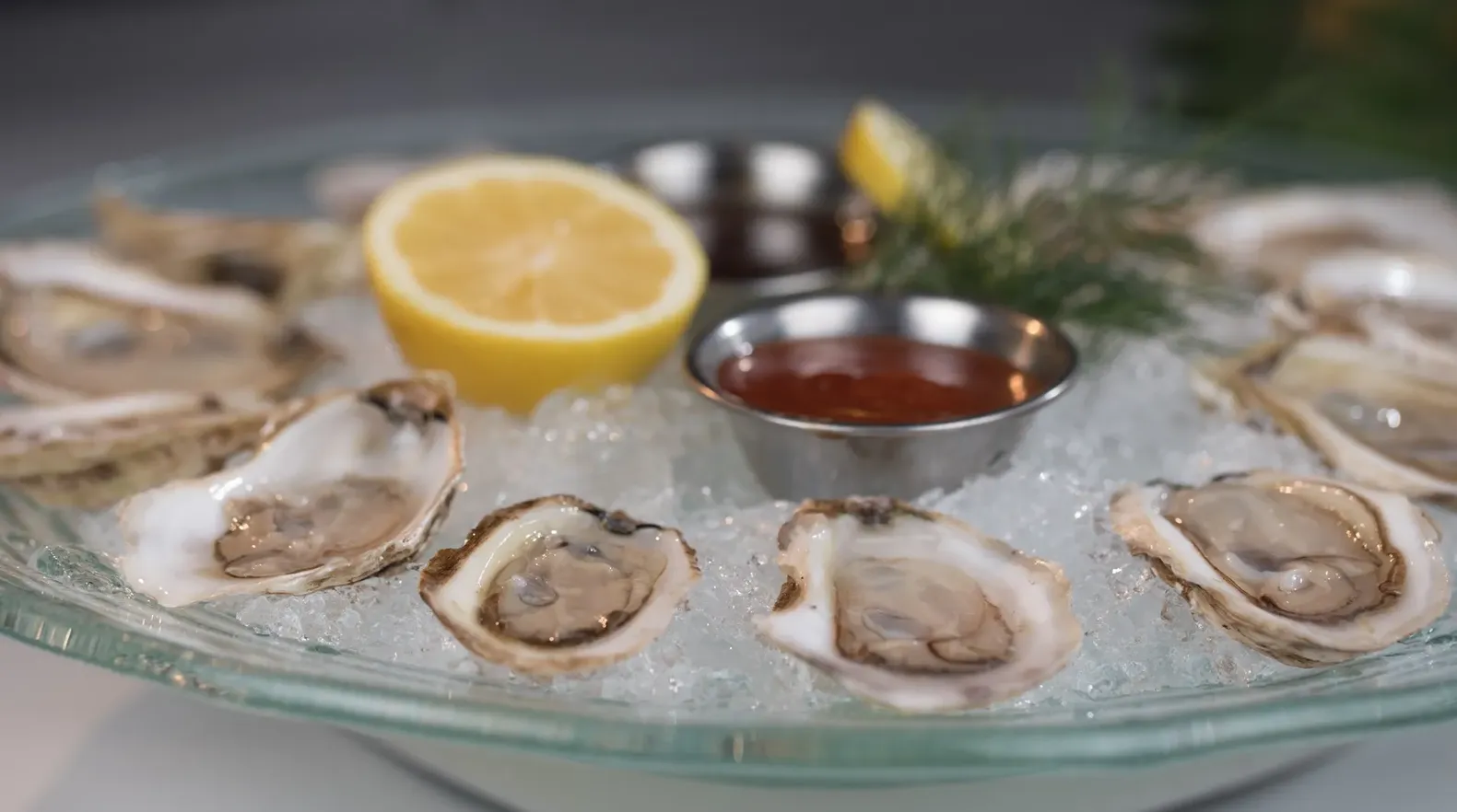 The Grilled Oyster Co. Kentlands Toast