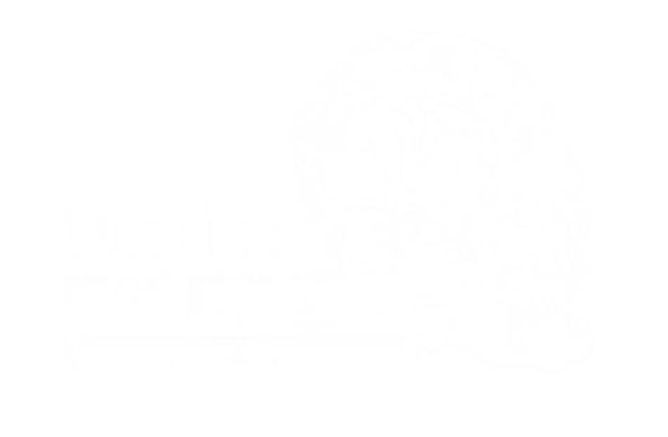 Death By Pizza In Delray Beach Fl Toast