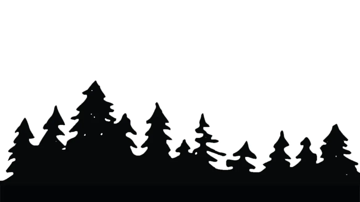 Banner pic