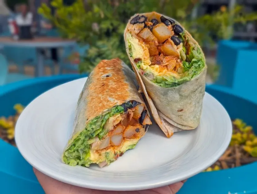 Best Chicken Burritos in Madison, WI Order Chicken Burritos Toast