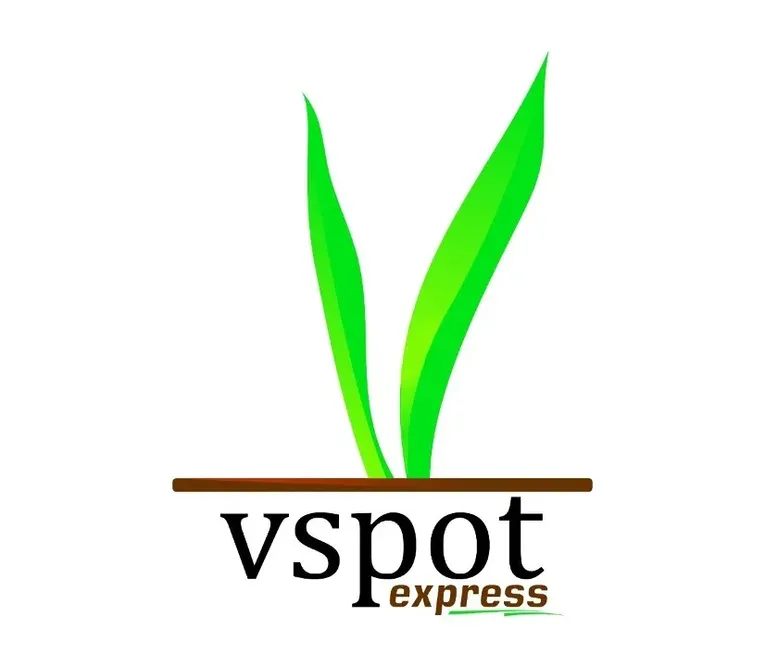 Vspot - Latin Vegan Munchies image