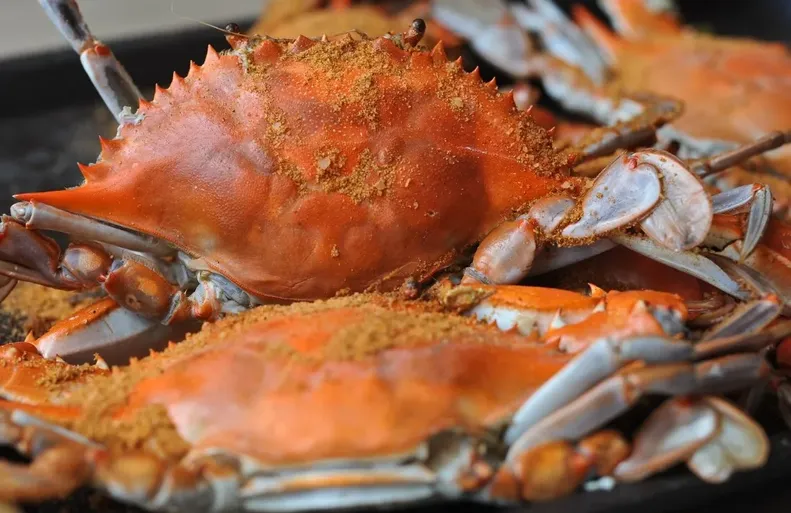 The Original Crab House image