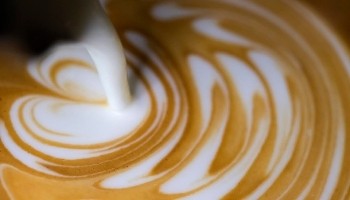 Intelligentsia Coffee image