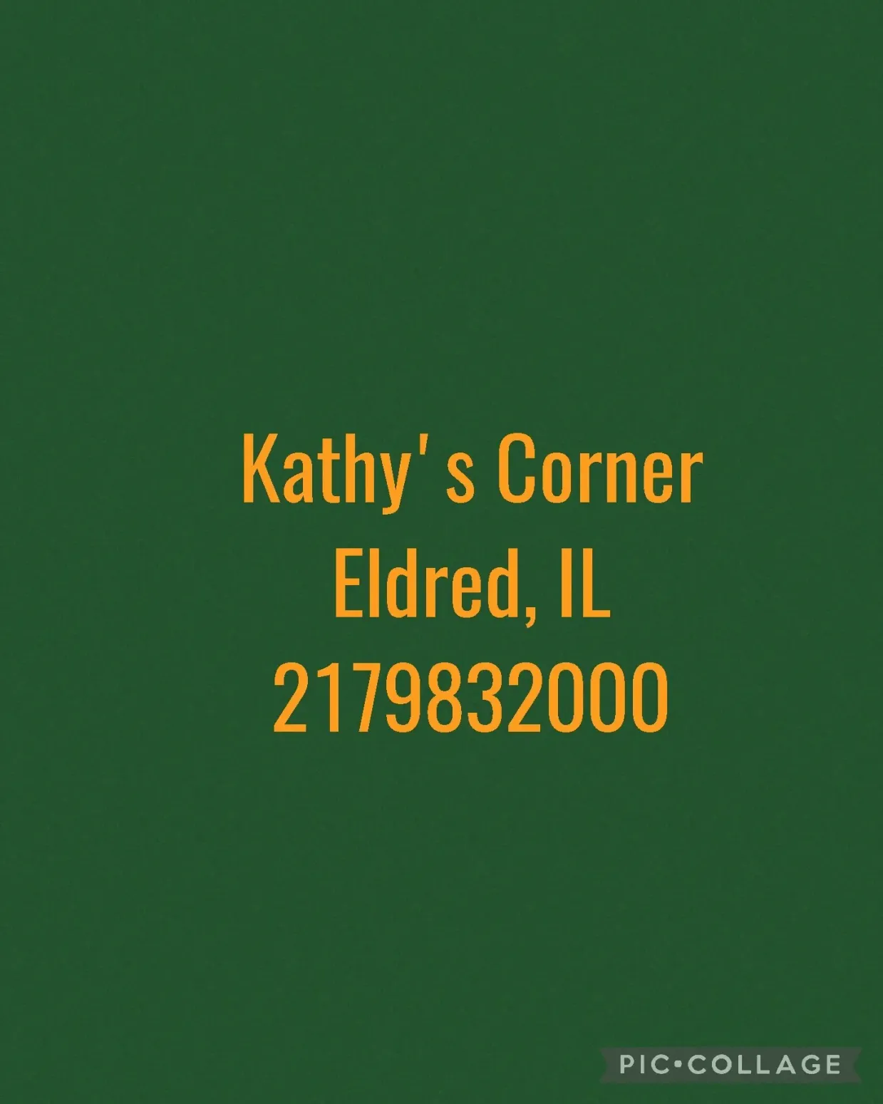 Kathy’s Corner 51 Bluff Street in Eldred, IL Toast