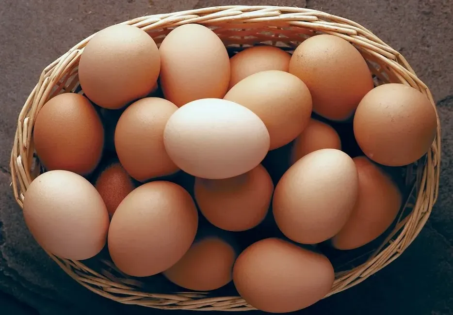 Egg Each image
