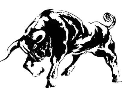 Toro Boston image