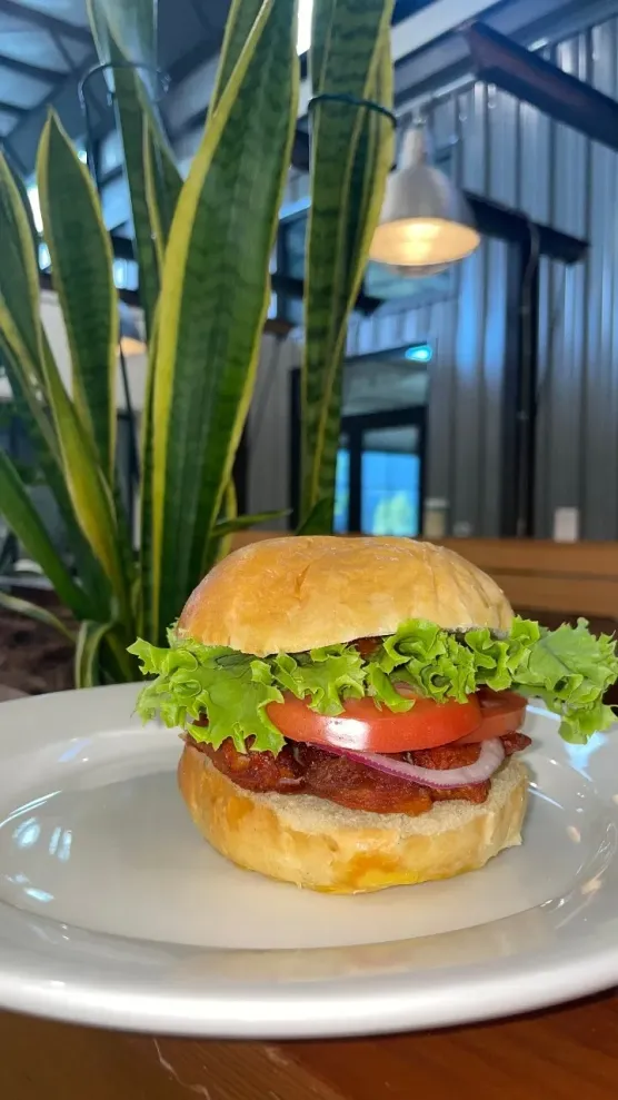 Best Fried Chicken Sandwiches in Lititz, PA Order Fried Chicken