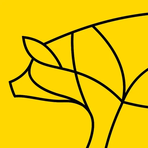 Federalist Pig - Hyattsville image
