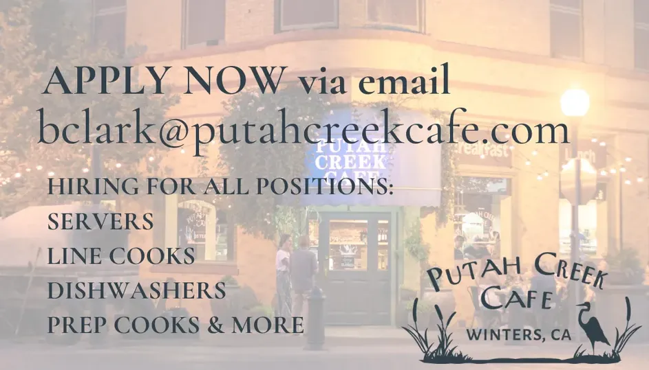 Putah Creek Cafe image