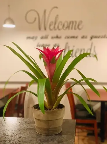 Thai Corner Worcester image