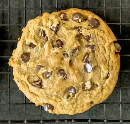 Giant Chocolate Chip Cookie image
