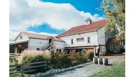 Levante Brewing image