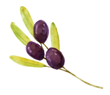 Olive Tree Catering image