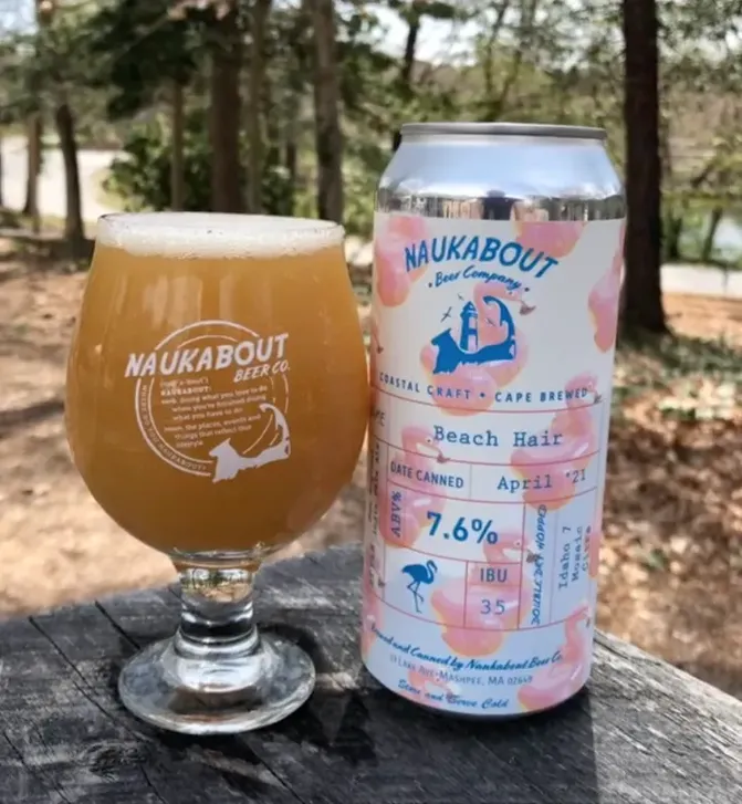 Beach Hair - New England IPA | 4pk image