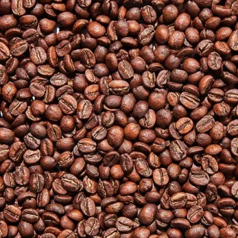Lola Beans image