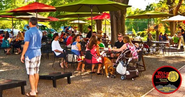 Wild Wolf Brewing Company image