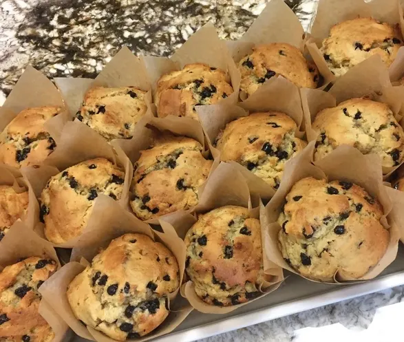Chocolate Chip Muffin (GF) image