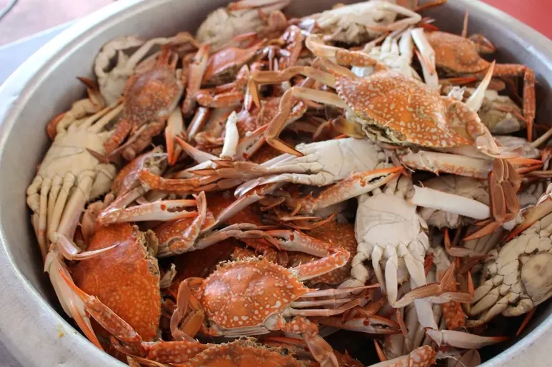 Rock & Toss Crab House image