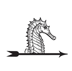 Farmer & The Seahorse image