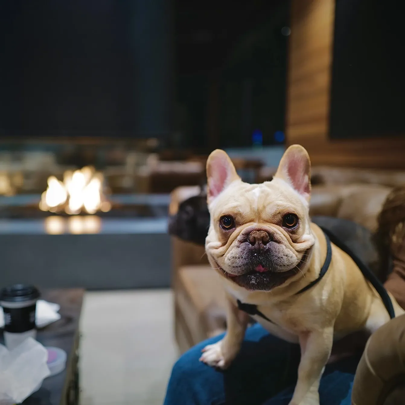 Black Rifle Coffee Company\r\nKalispell, MT Toast