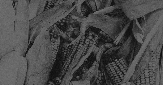 La Vecina image
