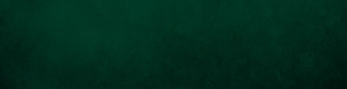 Banner pic