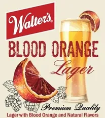 6-Pack Blood Orange Lager image