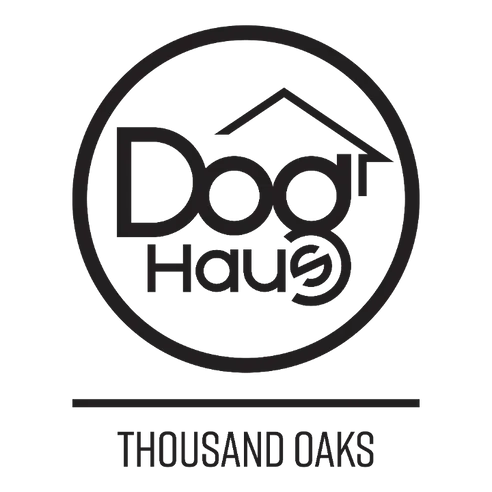 Dog Haus image