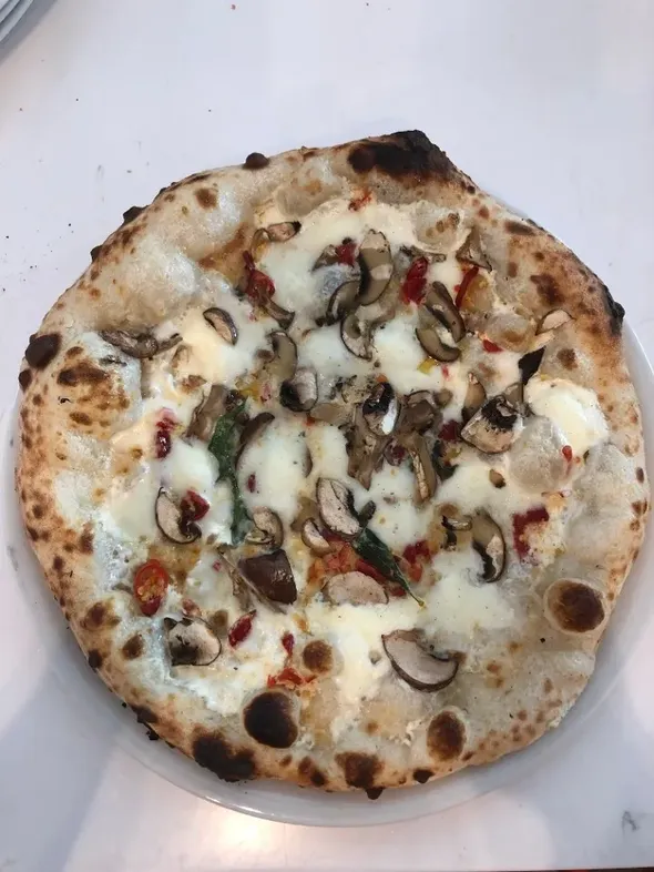 Funghi image