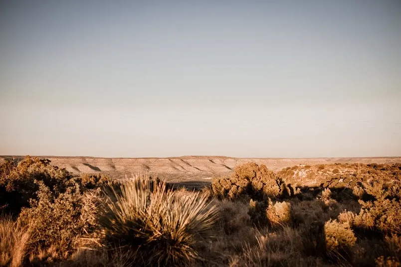 Desert Door Distillery image