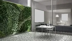 Lettuce Be Loco image